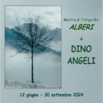 ALBERI - Dino Angeli